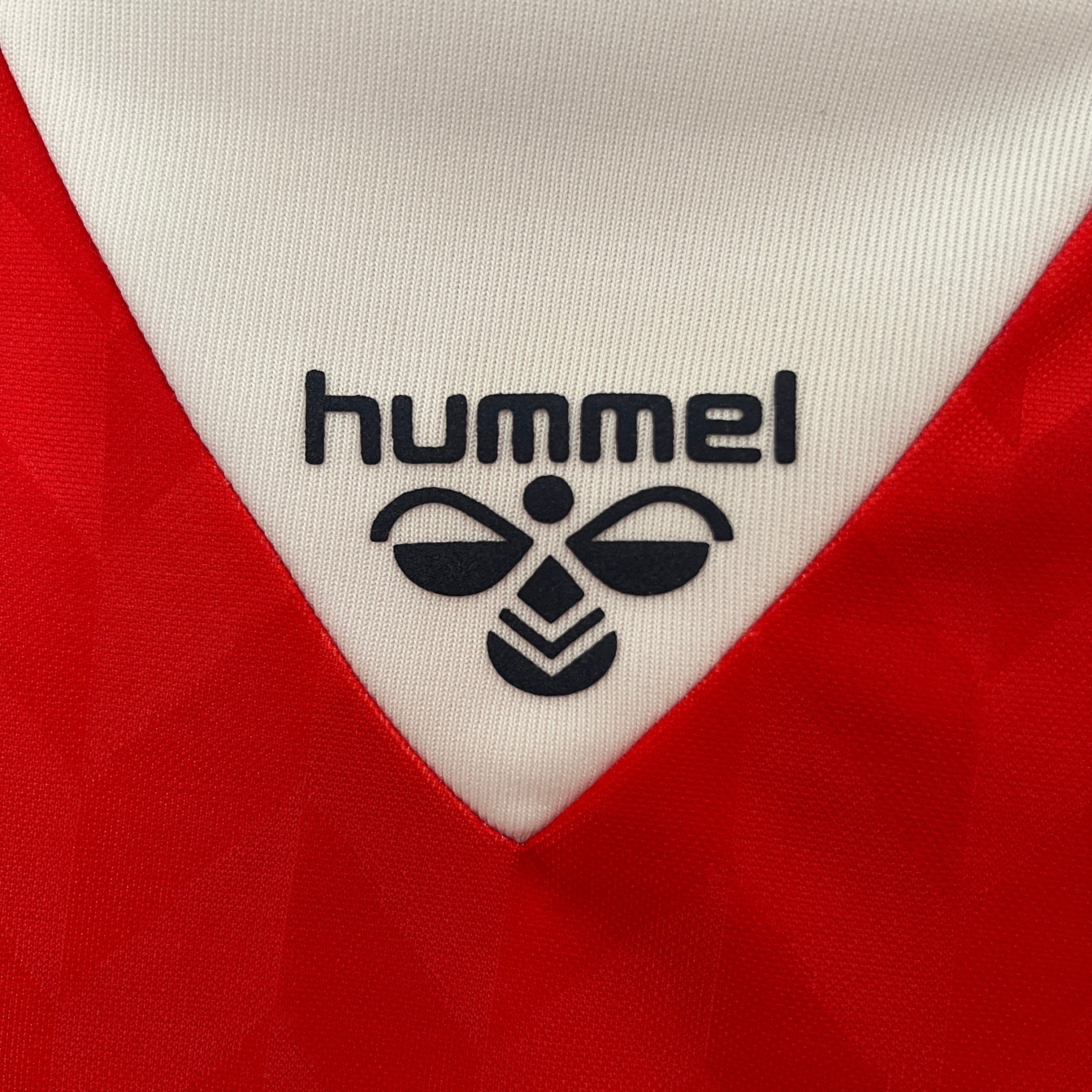Danimarca Maglia Home