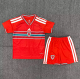 Wales 2026/2027 Kids Jersey