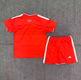 Wales 2026/2027 Kids Jersey