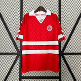 Danimarca Maglia Home